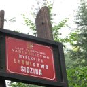 sidzina13 (7)